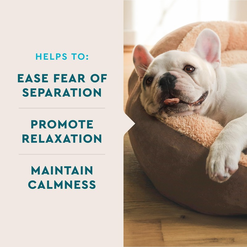 VetIQ Advanced Calming Support Supplement for Dogs, Dog Calming Chews