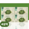 Curly Kale Organic Curly Kale Benefits / 컬리케일 유기농 곱슬케일 효능