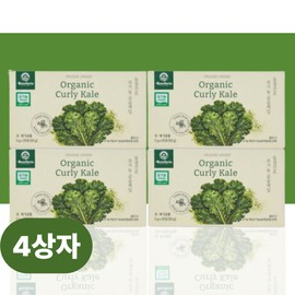 Curly Kale Organic Curly Kale Benefits / 컬리케일 유기농 곱슬케일 효능
