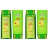 Garnier Fructis Sleek & Shine 2 Shampoo + 2 Acondicionador
