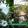Conihat Coffee Roaster Vietnamese Premium Whole Bean Coffee - Arabica