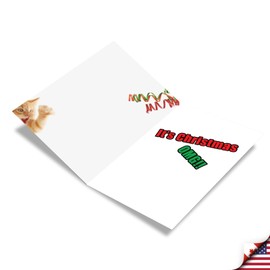 B1076 Box Set of 12 Cat Ribbons Funny Christmas Paper Cards with Envelopes
