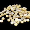 50pcs 2mm Shell Pearl Golden Yellow Inlay Dot Guitar Fret