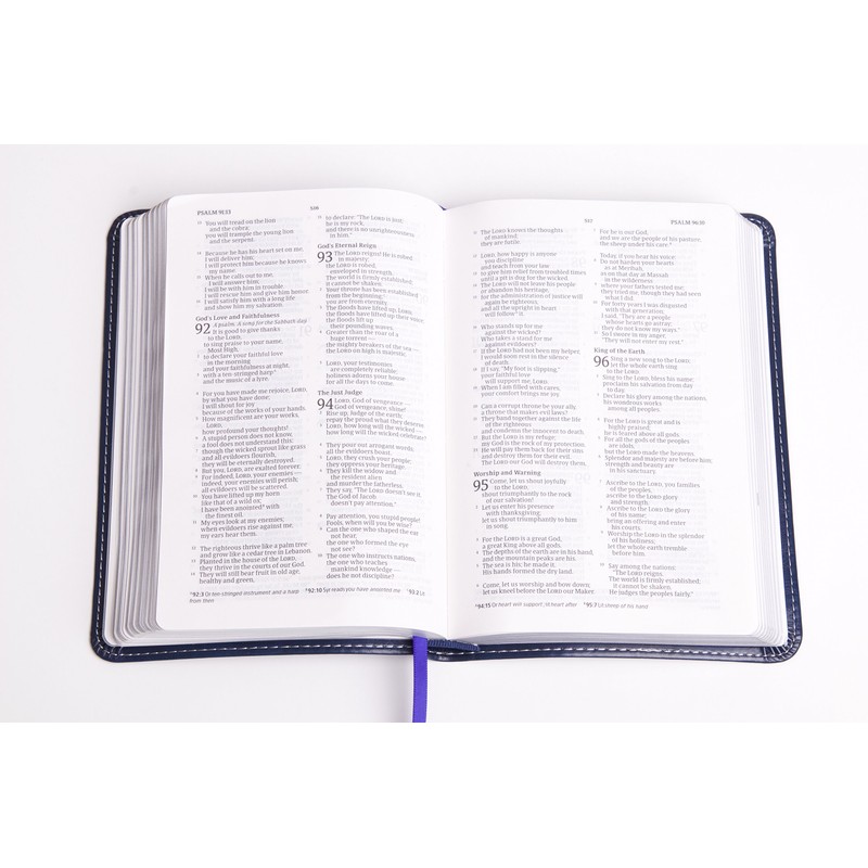 CSB Nurse's Bible