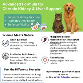 𝗘𝘃𝗲𝗻𝘁𝘂𝗮𝗹𝗹𝘆 𝗬𝗼𝘂𝗻𝗴 12-in-1 Kidney Support Restore 4 Cats & Dogs: Super Phosphate Binder w/NMN, Fisetin, Antioxidants, Prebiotic & Probiotic 4 Healthy Kidney & Liver Functions (60 Caps)