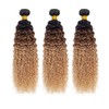 HeioWuio 1B427 Curly Wave Hair Bundles Brazilian Remy Extensions Ombre