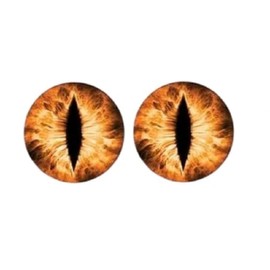 Headlight Decals1 Pair, Eye Decals for Headlights Eyes Headlight Decal Stickers, Funny Round Eye Decal Decal Decoration (Yellow, One Size)