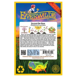Everwilde Farms - 100 Soldier Dry Bean Seeds - Gold Vault Jumbo Seed Packet