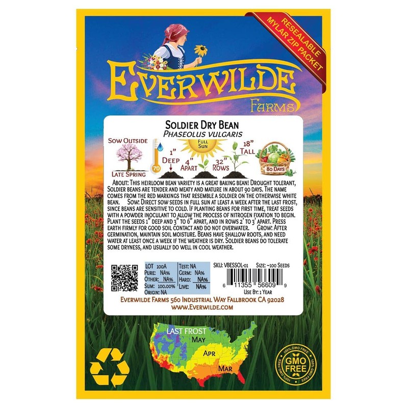 Everwilde Farms - 100 Soldier Dry Bean Seeds - Gold
