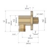 Derengge SA-0041-BG Handheld Shower Wall Supply Elbow, Wall-Mount Hose Connector,