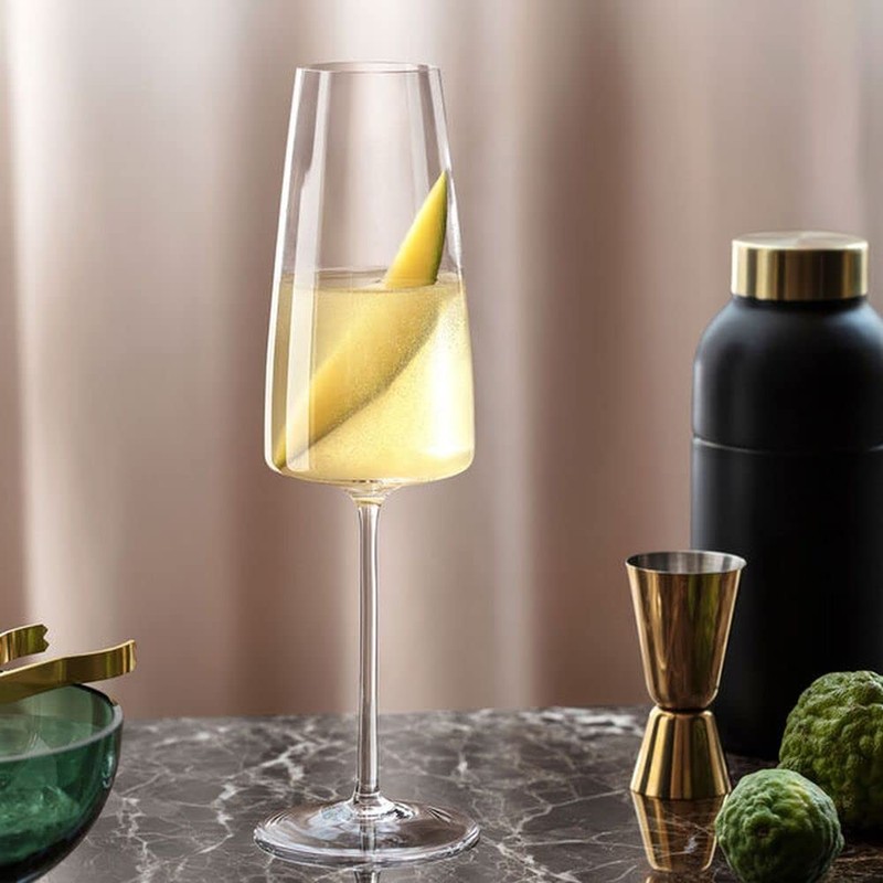 Villeroy & Boch Signature MetroChic Champagne Flute Set of 2