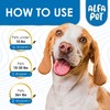 Dog Cough Treatment Liquid • Kennel Cough for Dogs &