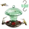 Hummingbird Feeder, Auslar 15 Ounces Glass Hummingbird Feeders for Outdoors