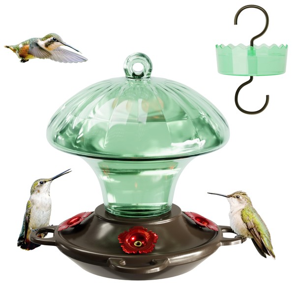 Hummingbird Feeder, Auslar 15 Ounces Glass Hummingbird Feeders for Outdoors