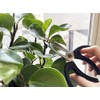 Tijeras japonesas de jardinería, longitud total de 7 pulgadas, para