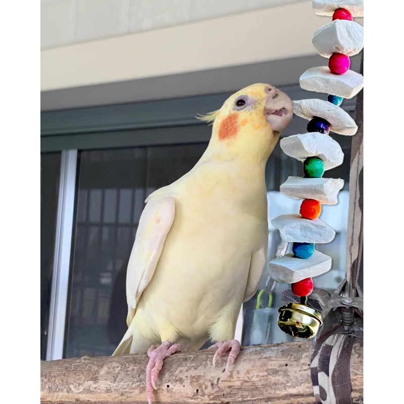 2 Pack Bird Toys with Millet Cuttlebone, Parakeet Toys, Bird