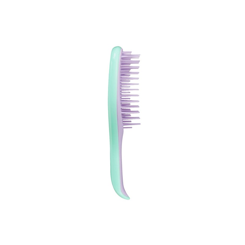 Tangle Teaser, The Wet Detangler, Mini, Wisteria Leaf