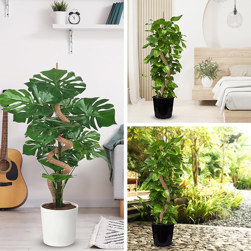 Supoice Moss Pole 63 Inch Moss pole Monstera Plant Support