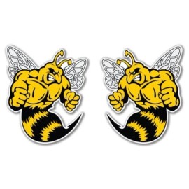 AK Wall Art Wasps Set of 2 Vinyl Sticker - SELECT SIZE - (A) X-Small: 2" each