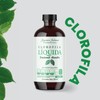 Joycare Juliana Clorofila Líquida, Suplemento Alimenticio (500 ml)