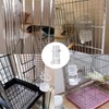 MEISO Automatic Bird Parrot Feeder Leakproof Splashproof with Water Dispenser