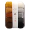 Hamanaka H441-142-8 Wool Felt Aclaine 10 Color Set, Approx. 0.08