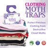 MothMag Clothes & Closet Moth Trap – Pheromone Lure for
