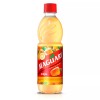 MAGUARY SUCO CONCENTRADO CAJU 500 ML