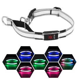 PZRLit Light-Up Martingale Collar for Dogs Multi-Color, No Pull Nylon Adjustable Collars with Buckle, LED Reflective Choke Collar, Rechargeable Training Dog Collars for Small Medium Large Dogs-Small