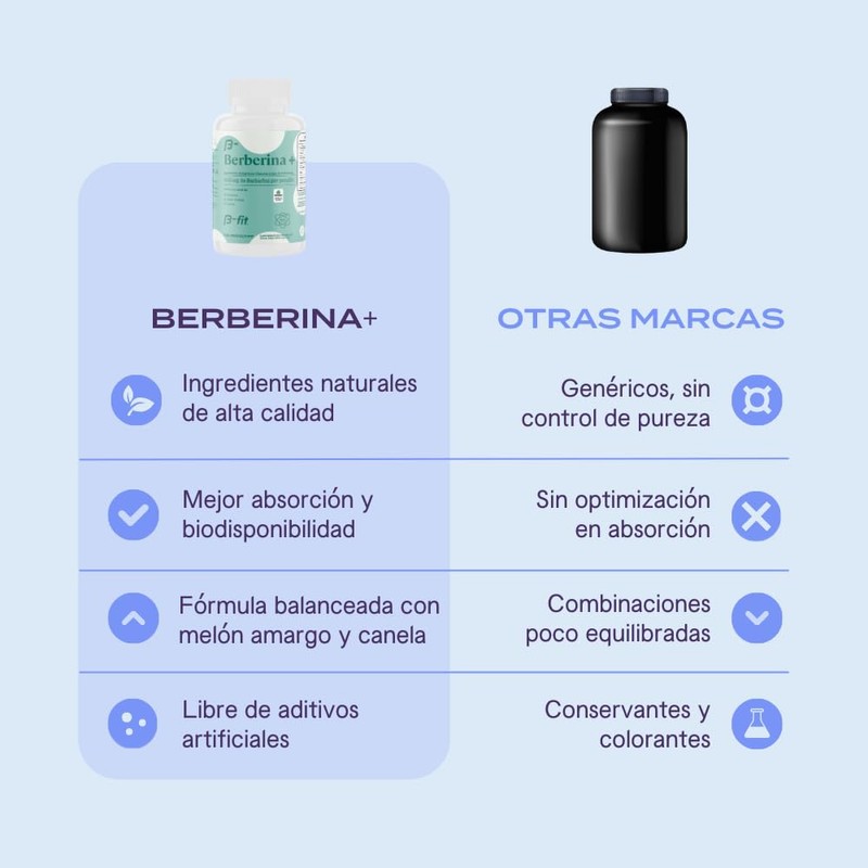 B-FIT B - Berberina HCL - Phellodendron amurense Rupr 60