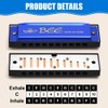OFFCUP Harmonica, 10 Holes Harmonica, Diatonic, Children's Beginners Harmonica for