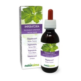 Meisterwurz (Peucedanum ostruthium or Imperatoria ostruthium) Rhizomes Alcohol-free Mother Tincture Naturalma - Liquid Extract Drops 120 ml - Dietary Supplement - Vegan