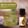 Essences Bulgaria Organic Myrrh Essential Oil 10ml | Commiphora myrrha