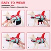 CITÉTOILE Life Jacket Dog Shark, Lightweight and Safe for Water
