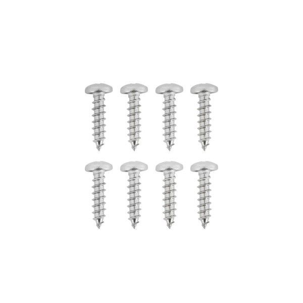 Brothers Trucks DJSP2SC Door Sill Step Plate Screw Set -