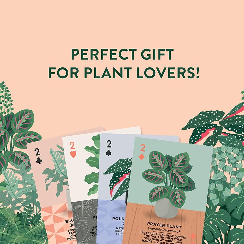 Ridley's Houseplants Playing Cards