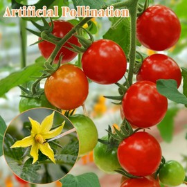 XLIUAX 24 Pcs Pollination Brush, Pollinator Tool for Indoor Hydroponic Plants Pollinator Brush Tool for Tomatoes Peppers Strawberries Potatoes Eggplants 1/2 inch Long bristles