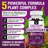 Calcium Magnesium Zinc Gummies with High Absorption Magnesium Glycinate 300mg,