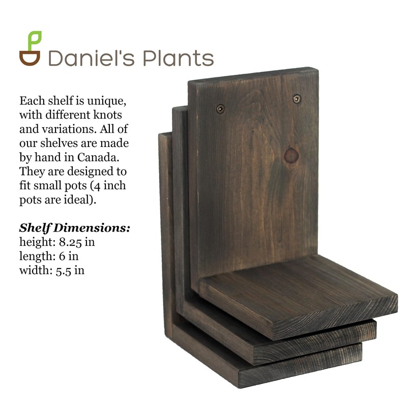 Daniel's Plants Indoor Plant Wall Gallery Shelf Kit | Midcentury