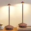 NEWSEE Modern Cordless Table Lamp Set of 2, Portable LED