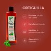 Tratamiento Shampoo Anticaída Árbol Verde 4pzs Romero Sábila