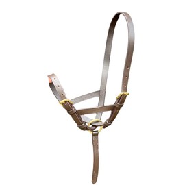Horse Leather Foal Slip Headcollar with Solid Brass Fitting S-M-L Black Brown (Brown, Large)