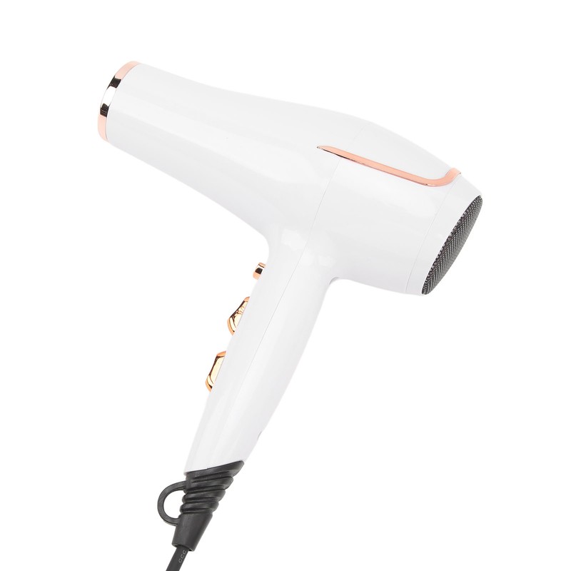 Electric Hair Dryer Adjust Temperature Wind Speed Blow Dryer Hair