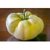 Seeds4planting - Seeds Snow Great White Beefsteak Tomato Giant Heirloom