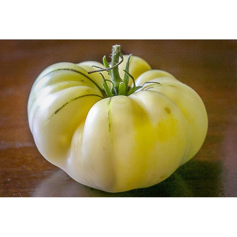 Seeds4planting - Seeds Snow Great White Beefsteak Tomato Giant Heirloom