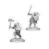 D&D Nolzurs Marvelous Unpainted Miniatures: Wave 4: Earth Genasi Male
