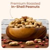 Wellsley Farms Salted and Roasted Peanuts In Shell - USA