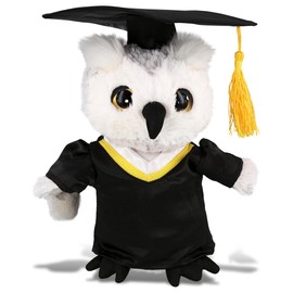 DolliBu Owl Graduation Plush Toy - Super Soft Graduation Stuffed Animal Dress Up with Gown and Cap with Tassel Outfit with Personalization - 8.5 Inches