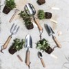 Dulton Mini TROWEL CH14-G514 Garden Transplanting Trowel Mini Trowwell Height