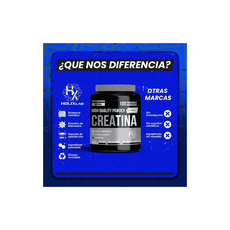 Creatina Pura Monohidratada Holix Lab 500g 100 Serv Creatina Micronizada